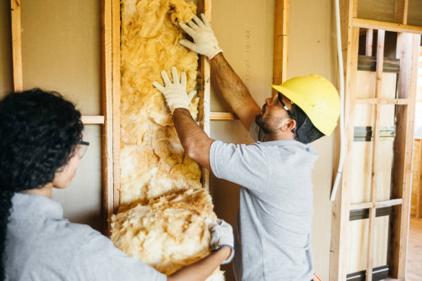 Best Garage Insulation  in Clovis, NM